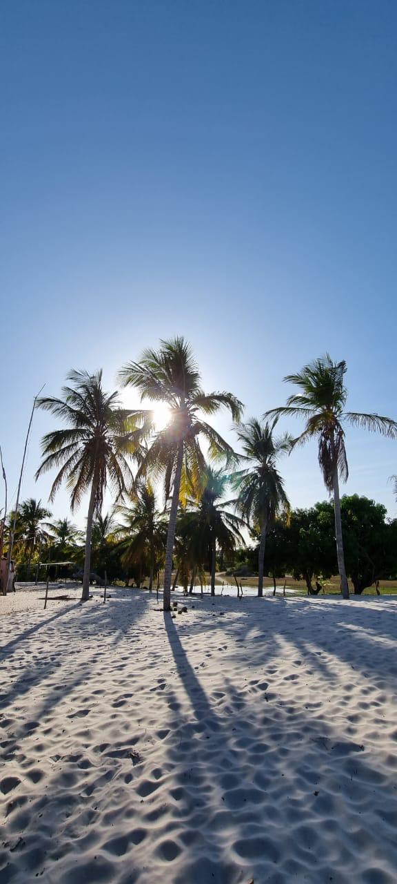 Lençóis Maranhenses - Galeria Foto 54